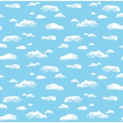 FADELESS 48X12 CLOUD SOLD 4RLS/CTN