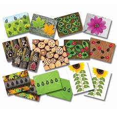 LADYBUGS EARLY NUMBER CARDS