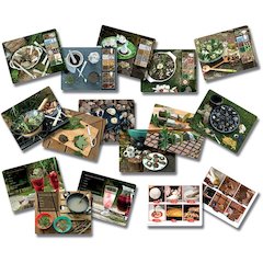 Mud Kitchen Activity Cards