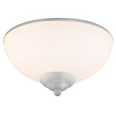 Outdoor Light Kit in Painted Brushed Nickel LED