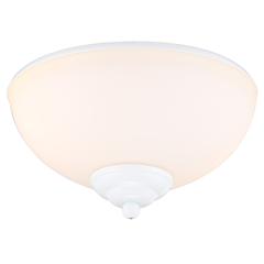 White Outdoor Light Kit LED