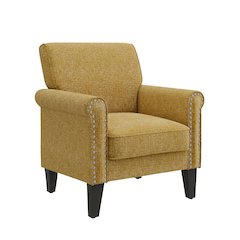 Jean Rolled Arm Chair with Nailheads in Gold Chenille