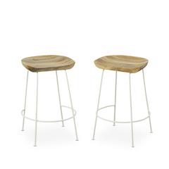 Diya 24.5" Counter Stool - Set of 2 - Natural Seat - White Base