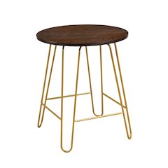 Ethan 20" Side Table - Elm/Gold