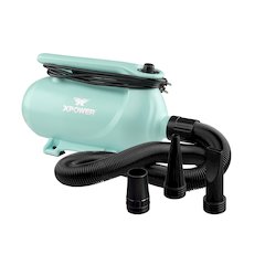 B-163 High Velocity Variable Speed Double Motor Pet Dryer - Mint Green