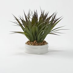 Green/Brown Grass in Small Matte White Bowl