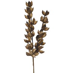 Cotton Stem - Set of 3