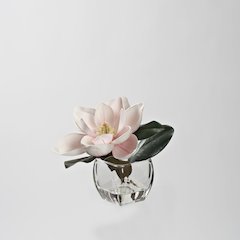 Pink Eva Magnolia Stem in Square Glass Vase