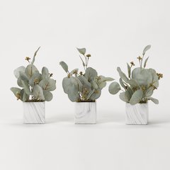 Seeded Eucalyptus Branches in Marbled Ceramic Cube - Set Of 3