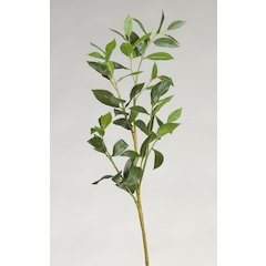 Bay Leaf Spray
