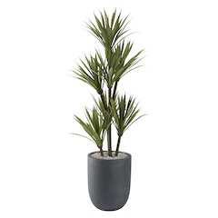 48" Yucca Tree in Small Round Grey Planter