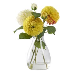 Cream And Yellow Dahlia in Glass Vase