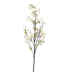 Cherry Blossom Branch