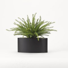 Heather Fern in Oval Metal Planter