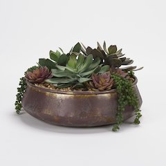 Assorted Echeveria And Cedum in Aged Copper Bowl