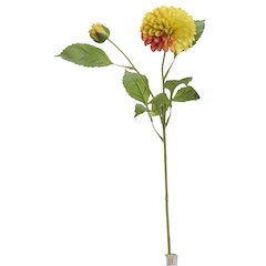 Orange/Yellow Dahlia Stem - Set of 3