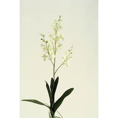 30.5" Green Dendrobium Orchid - Set of 3