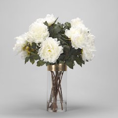 Cream Peonies in Tall Glass Cylinder with Gold Stripe