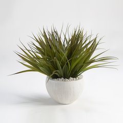 Wild Grass in White Ezra Bowl