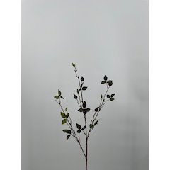 Rosehip Spray - Set of 3