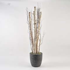 7' Birch Pole And Birch Branches in Round Black Textured Planter