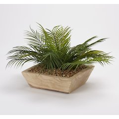 Palm Fronds in Square Wooden Bowl