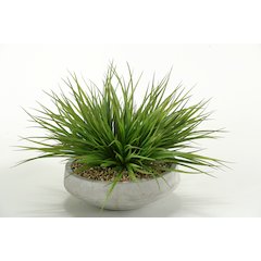 Wild Grass in Contemporary Bowl