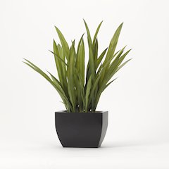 Tall Orchid Foliage in Rectangle Metal Planter