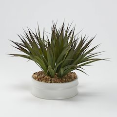 Green/Brown Grass in Medium Matte White Bowl