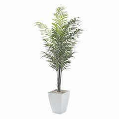 7' Areca Palm in White Square Metal Planter