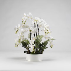 White Orchids in Round White Ceramic Dish