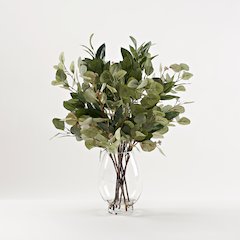 Assorted Eucalyptus Sprays in Glass Pedestal Vase