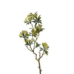 Green Flower Bud Spray - Set of 3