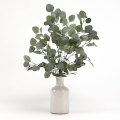 Grey/Green Eucalyptus in Ceramic Bottle