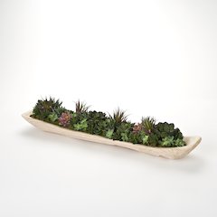 Assorted Mini Succulents in Long Natural Wood Tray