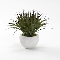 Plastic Grass in Small White Cermaic Bowl