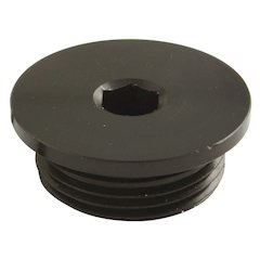 Freeze Plug - Threaded   (1)