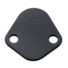 Fuel Pump Block-Off Plate Black w/Ford Logo