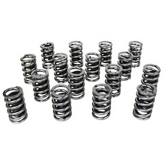 Single Valve Springs - 1.265