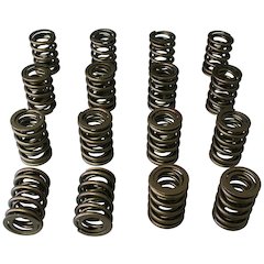 Dual Valve Springs - 1.470