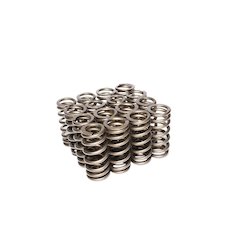 SBF 4.6L Valve Springs