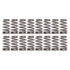 Beehive LS6+ Valve Springs GM LS