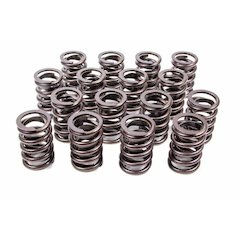 1.460in Valve Springs - BBF