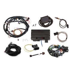 Terminator X Ford MPFI Kit