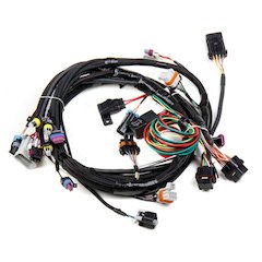 Main Wiring Harness LS1 & LS6