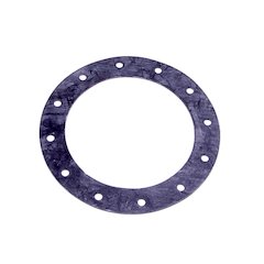 12-Hole Flange Gasket