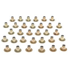 Valve Stem Oil Seal Set 18-24 Ford 5.0L