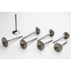 BBM R/M 1.810in Exhaust Valves
