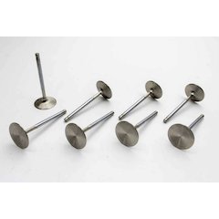 LS1 R/M 1.590in Exhaust Valves