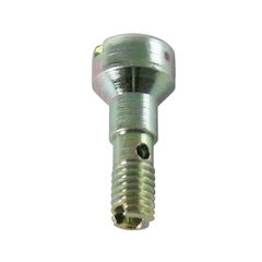 Squirter Screw-High Flow Gasoline